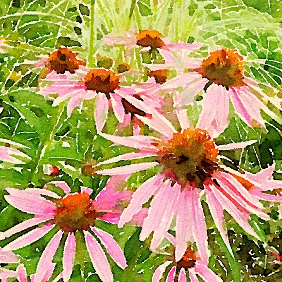 Welcome to my closet! - Picture 1 of 3